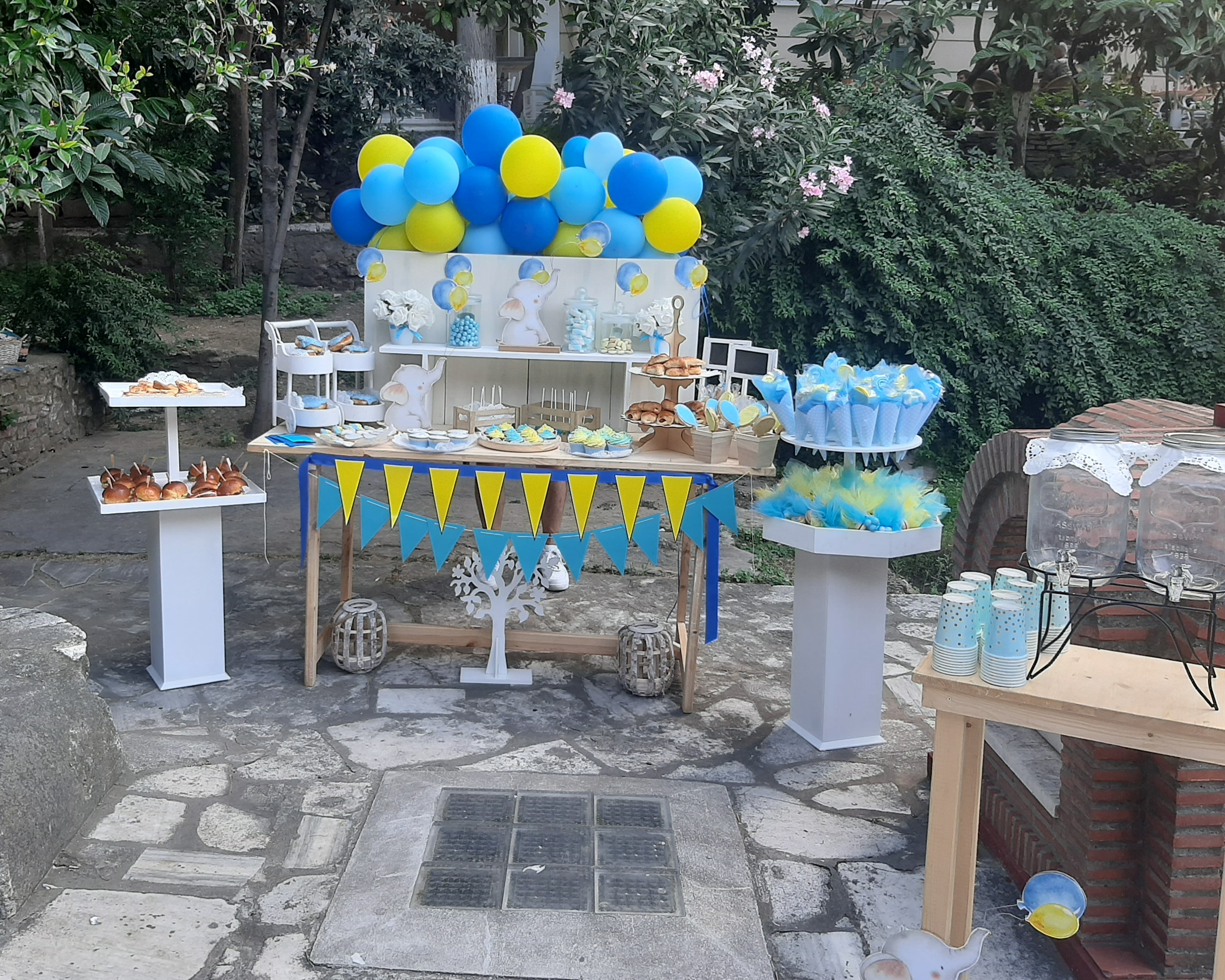 Fusce nec facilisi