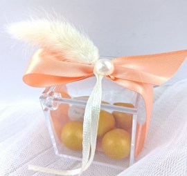 mpomponiera-koutaki-plexiglass-bunny-tail