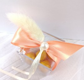 mpomponiera-kouti-plexiglass-bunny-tails