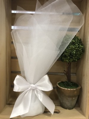 mpomponiera-touli